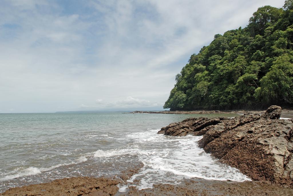 Hotel Punta Leona Jaco Bagian luar foto