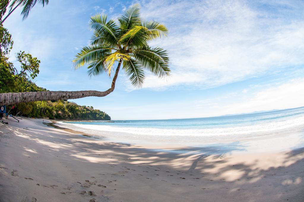 Hotel Punta Leona Jaco Bagian luar foto