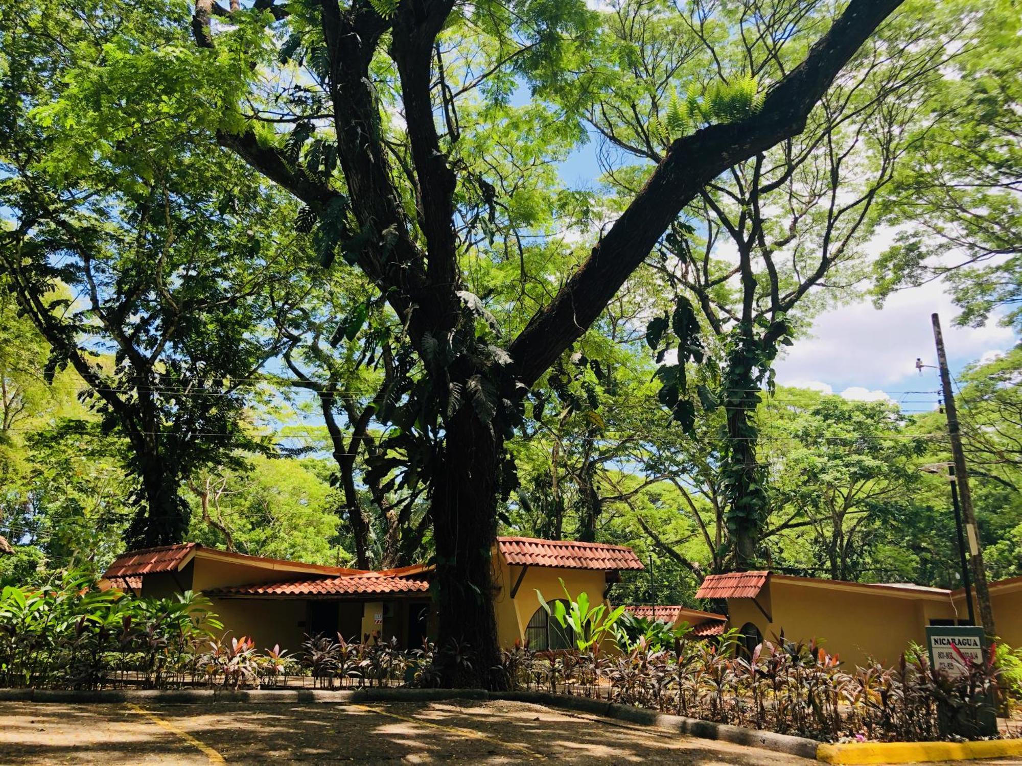 Hotel Punta Leona Jaco Bagian luar foto