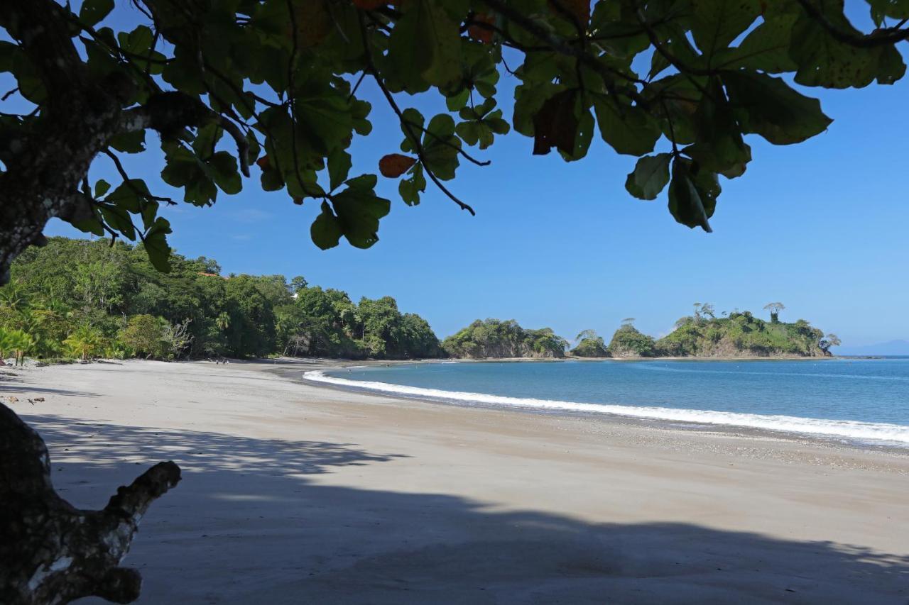 Hotel Punta Leona Jaco Bagian luar foto